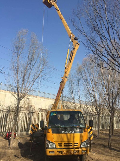 平谷區(qū) 升降機(jī)出租 租賃